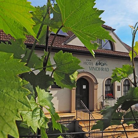 Hotel Vinohrad Milotice Dış mekan fotoğraf