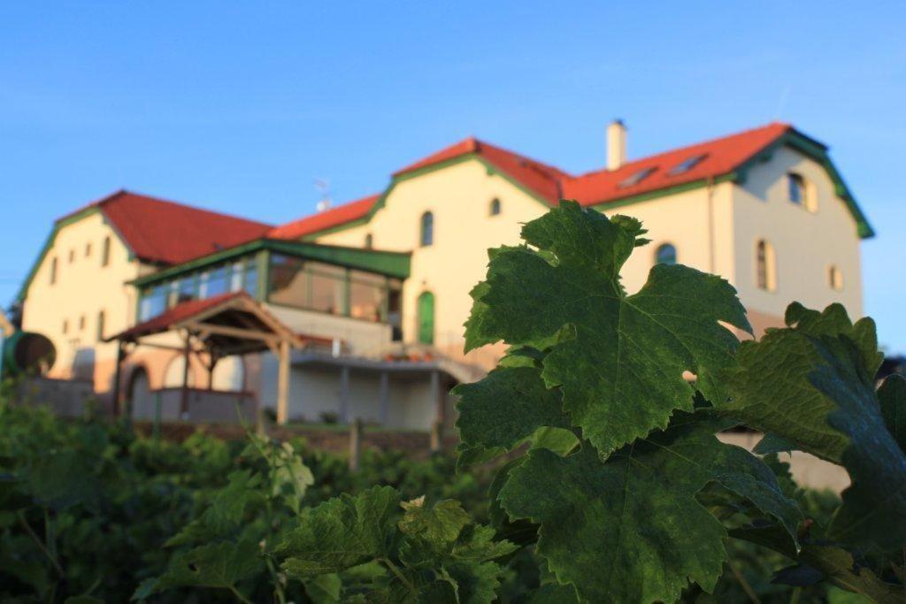 Hotel Vinohrad Milotice Dış mekan fotoğraf