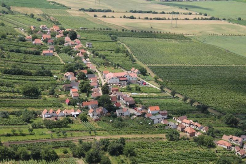 Hotel Vinohrad Milotice Dış mekan fotoğraf