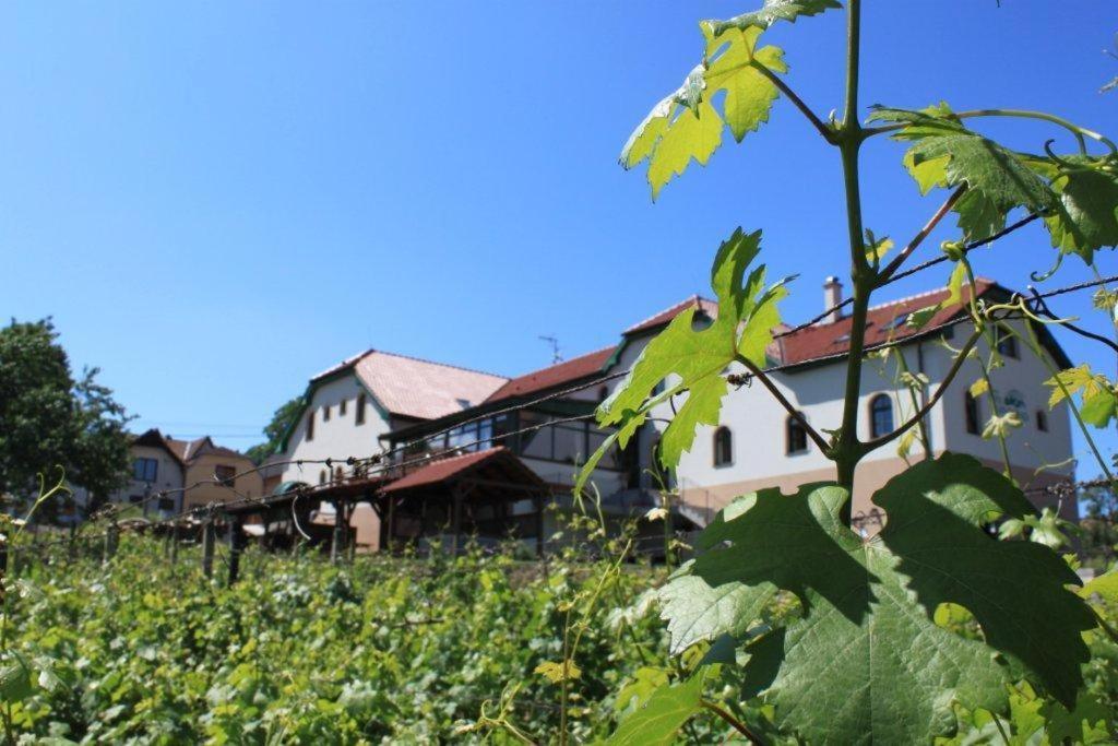 Hotel Vinohrad Milotice Dış mekan fotoğraf