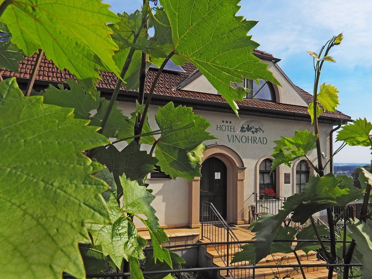 Hotel Vinohrad Milotice Dış mekan fotoğraf